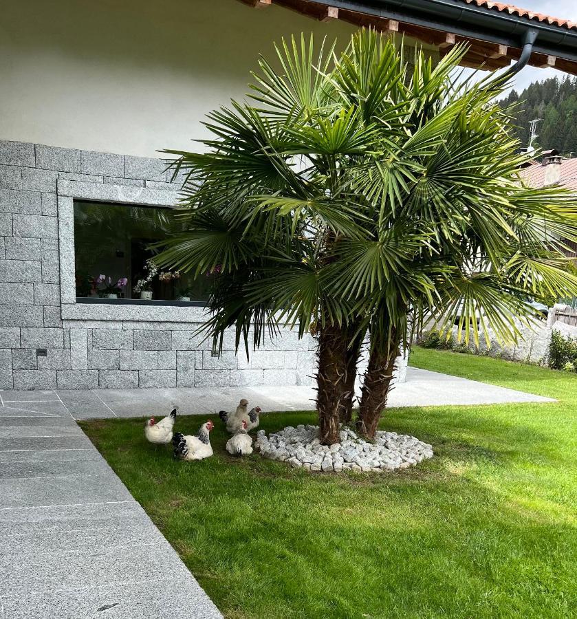 بينْسولُ B&B Casa Il Sasso المظهر الخارجي الصورة